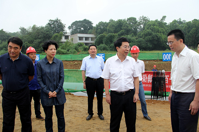 市领导张迎春、夏建平、刘明理等参加调研，望城区领导孔玉成、邹特等陪同调研